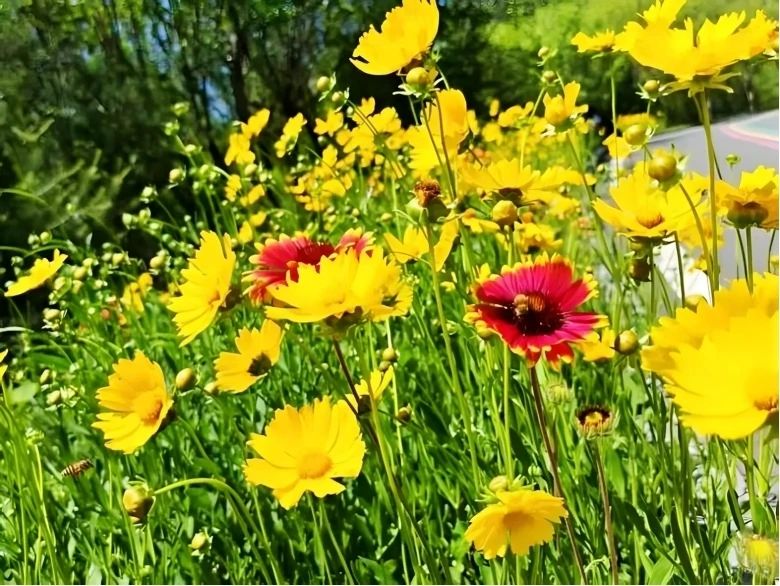 1749430129283610.jpg 6.jpg